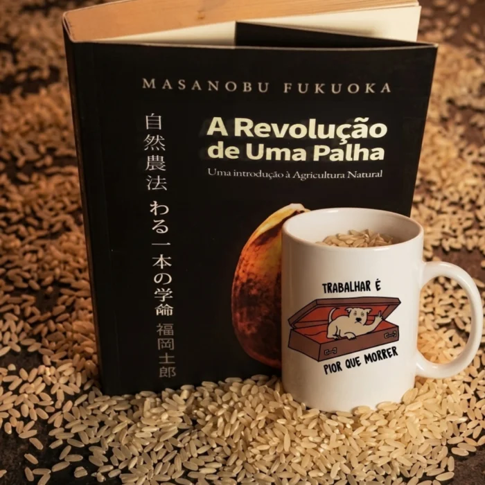 KIT: Revolução na cooperação
